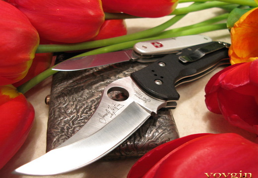 SPYDERCO Chinook 2  VICTORINOX Soldier--002