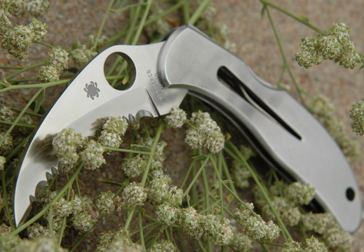 Spyderco 2011189
