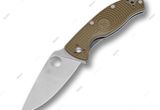Spyderco 493