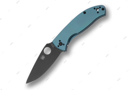 Spyderco 494