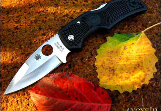Spyderco Autumn