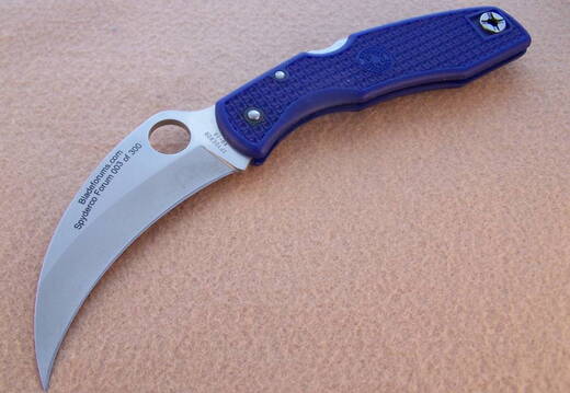 Spyderco Blue Native III