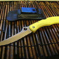 Spyderco Catcherman