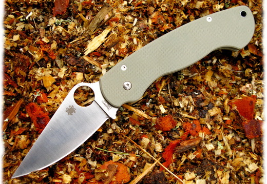 Spyderco Paramilitary 05
