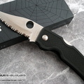 Spyderco blackhawk 01