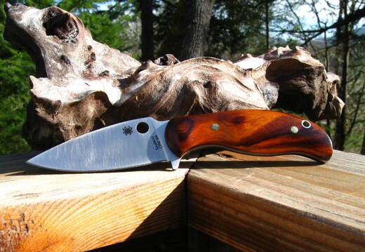 Spyderco ironwood2fn1
