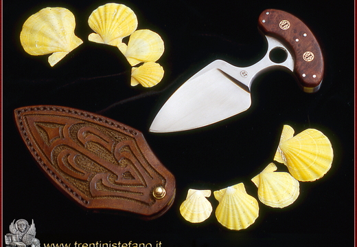 Stefano Trentini ST251