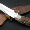 Todd M Kopp Large Arizona Skinner